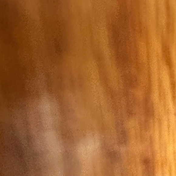 The Pioneer Woman Cream Denim Shorts - Picture 4 of 5